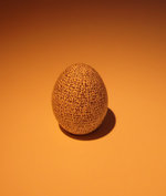 Bereshit aleph, or the first chapter of Genesis, written on an egg, in the Israel Museum. 