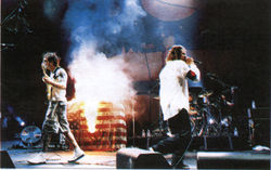 RATM burned the American Flag at the 1999 woodstock festival.